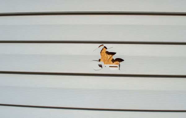 Siding Hole Patching in Madison